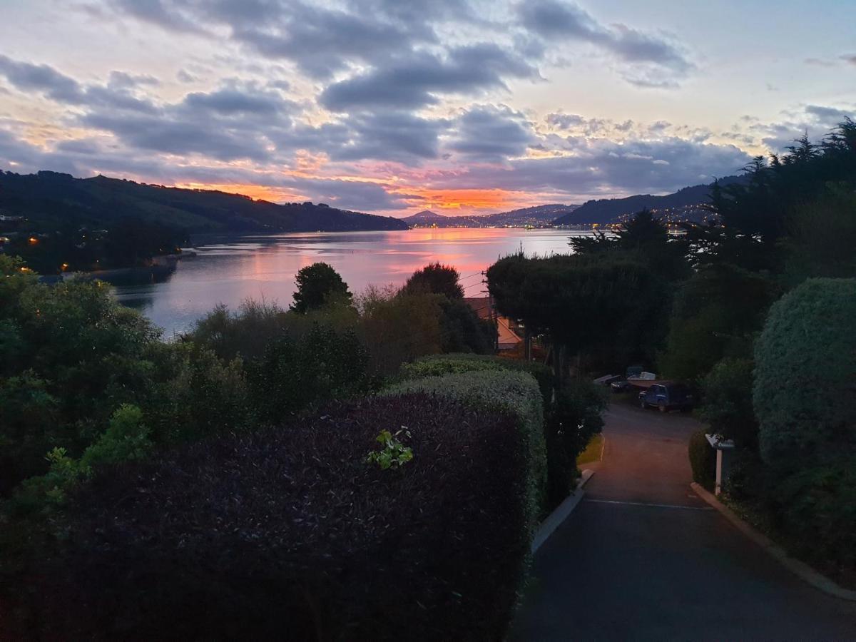 Tui2 Macandrew Bay Dunedin Dış mekan fotoğraf
